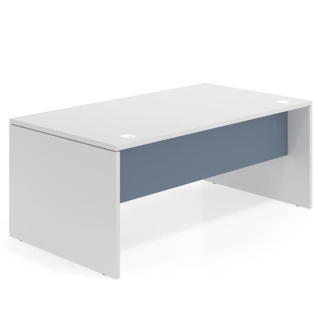 Mesa de Dirección Work Plus fondo 100 estructura blanco mate