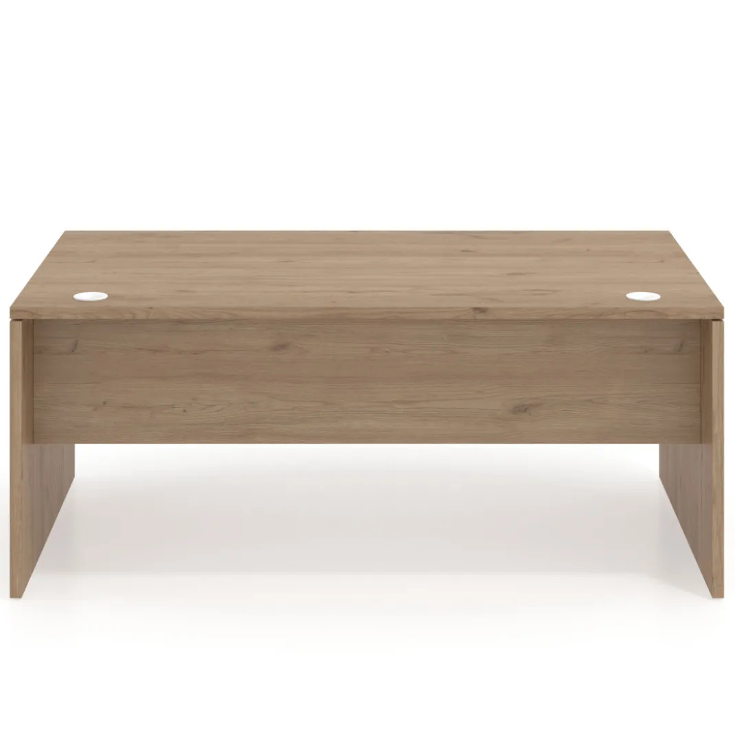 Mesa de Dirección Work Plus fondo 100 diseño monocolor