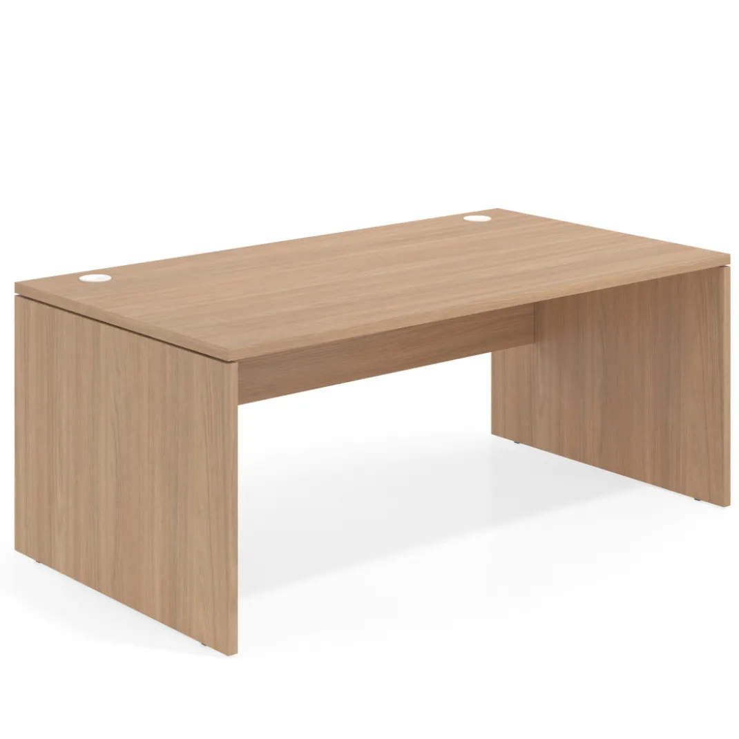 Mesa de Dirección Work Plus fondo 100 diseño monocolor