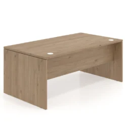 Mesa de Dirección Work Plus fondo 100 diseño monocolor