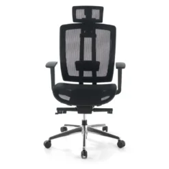Silla de oficina Ergomax, premium, red con reposacabezas