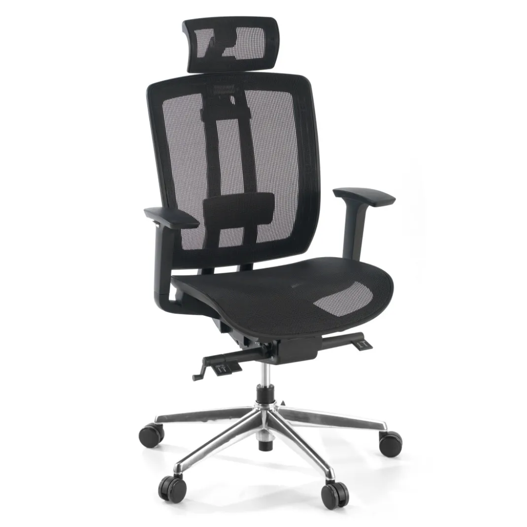 Silla de oficina Ergomax, premium, red con reposacabezas