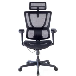 Silla de oficina Ergonomica IOO, soporte lumbar