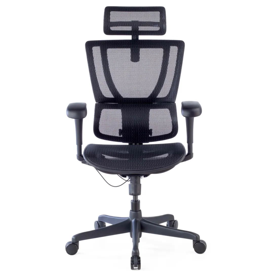 Silla de oficina Ergonomica IOO, soporte lumbar