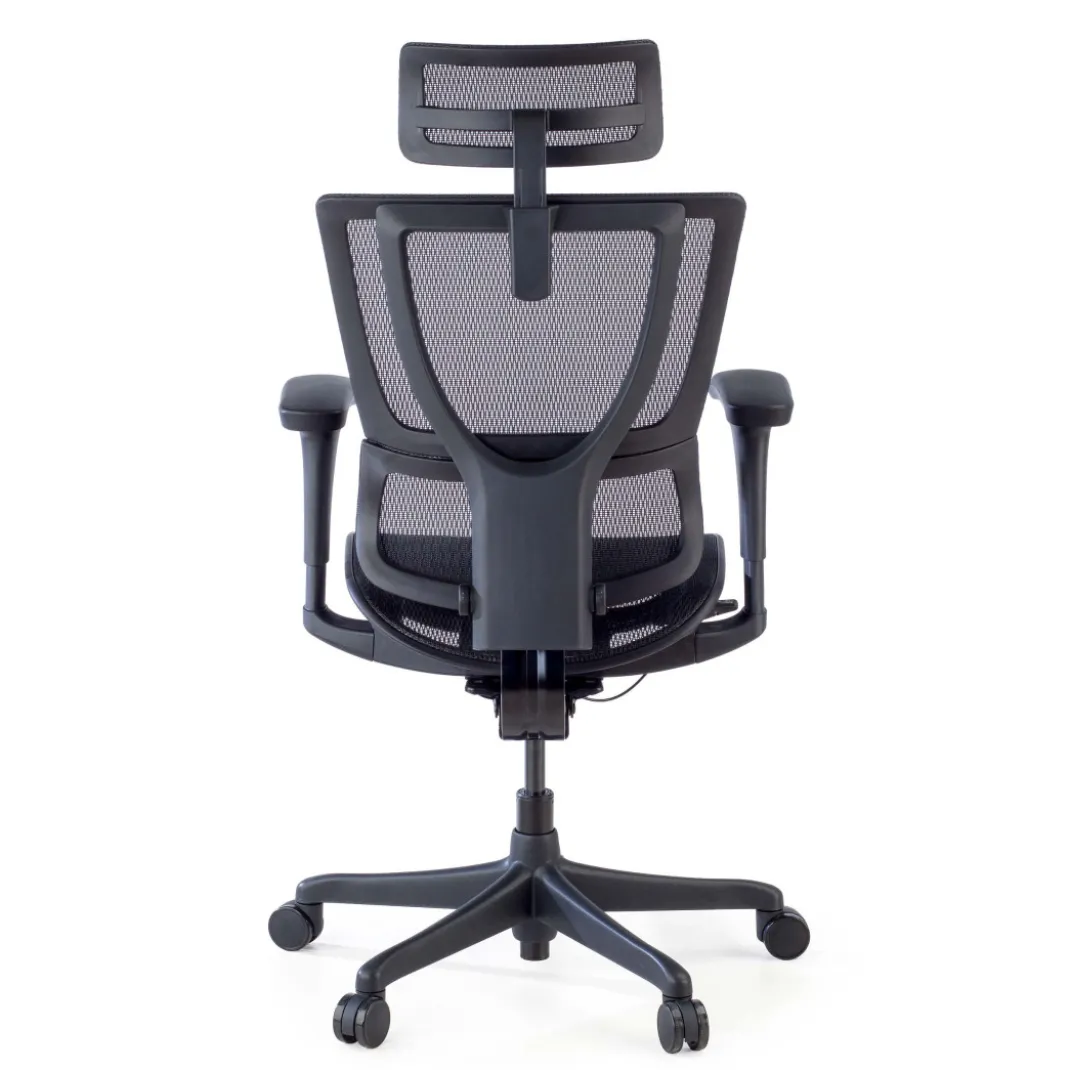 Silla de oficina Ergonomica IOO, soporte lumbar