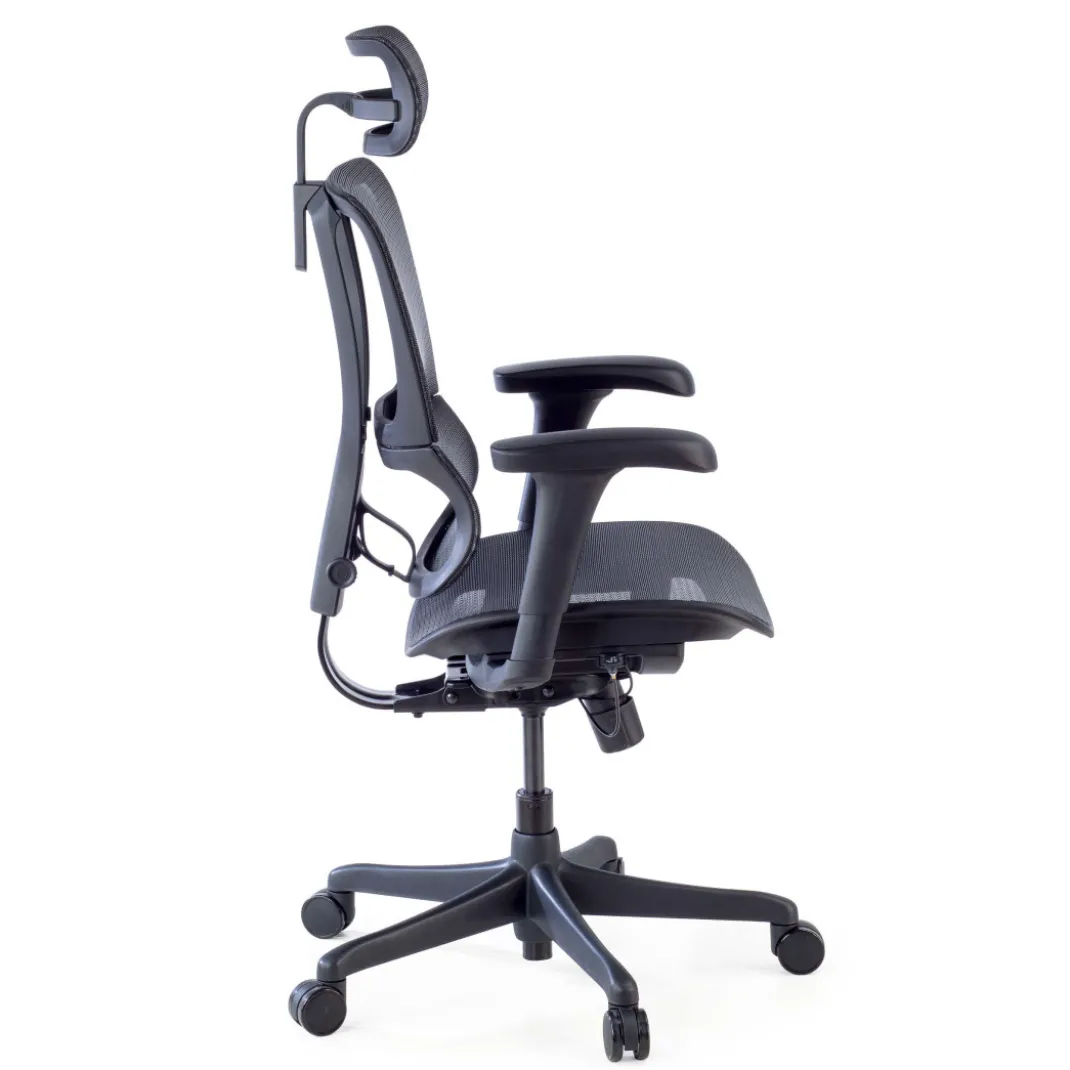 Silla de oficina Ergonomica IOO, soporte lumbar