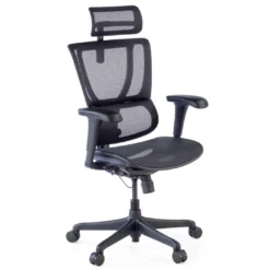Silla de oficina Ergonomica IOO, soporte lumbar
