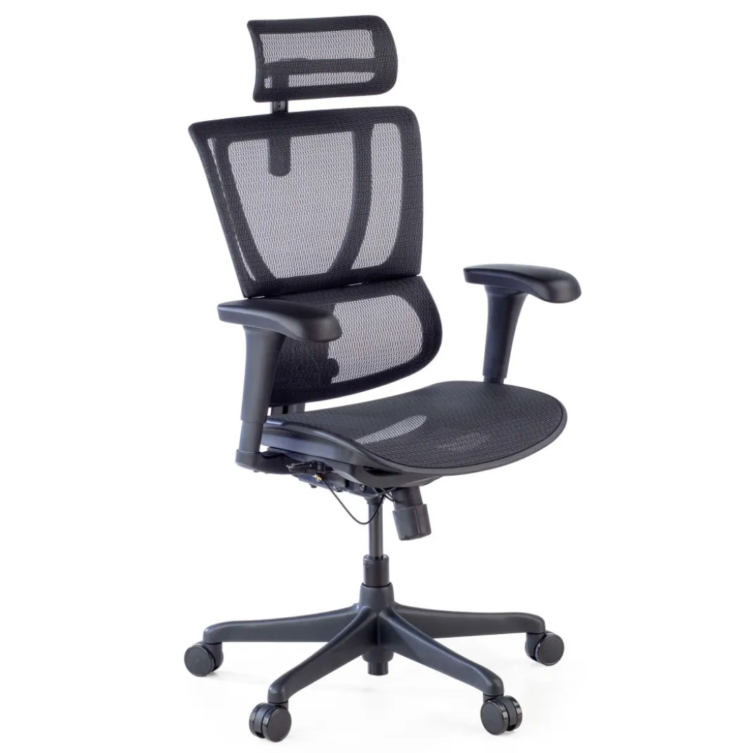 Silla de oficina Ergonomica IOO, soporte lumbar