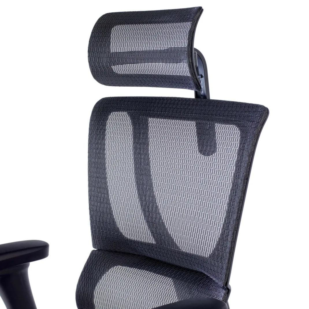 Silla de oficina Ergonomica IOO, soporte lumbar