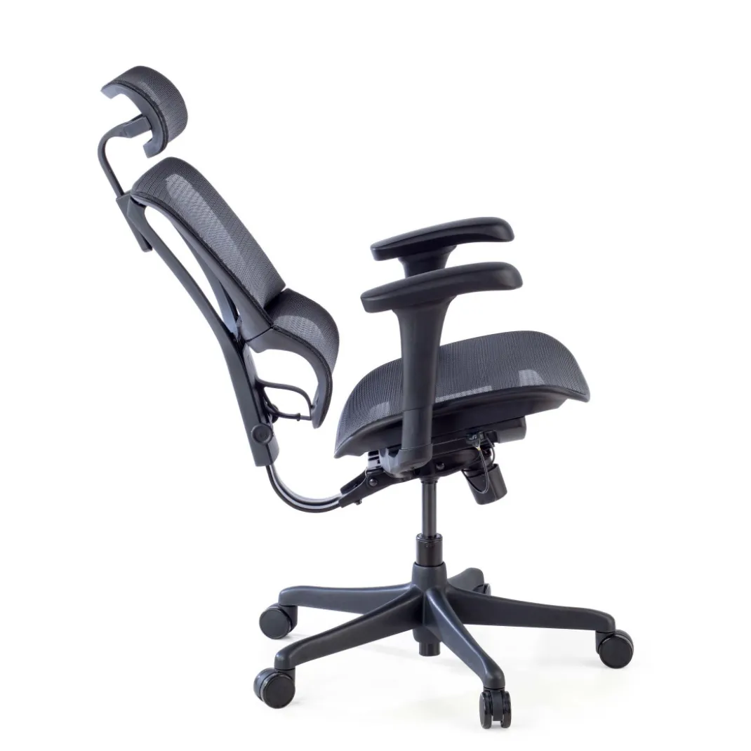 Silla de oficina Ergonomica IOO, soporte lumbar