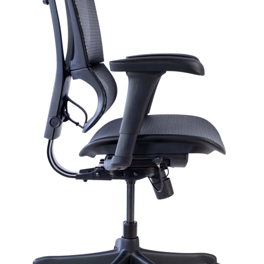 Silla de oficina Ergonomica IOO, soporte lumbar