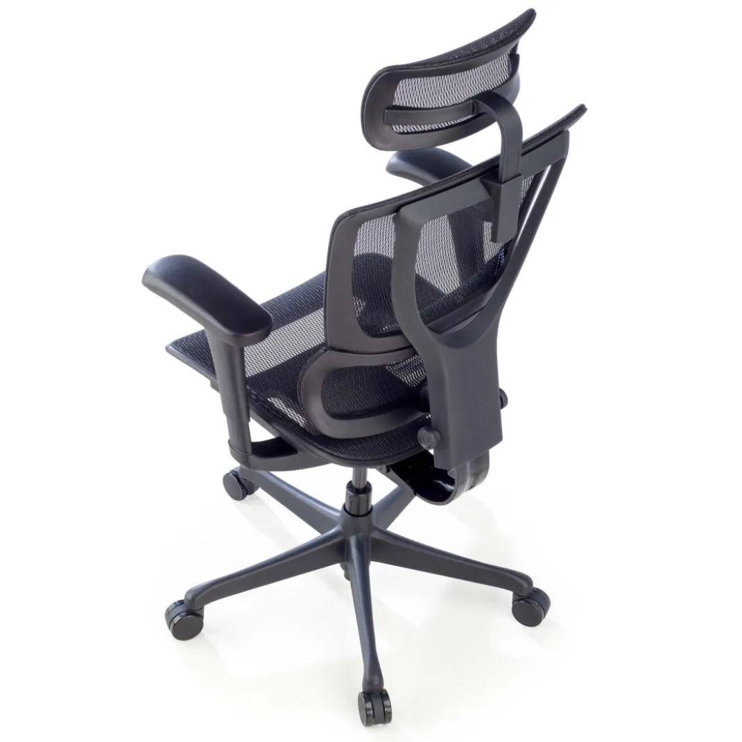 Silla de oficina Ergonomica IOO, soporte lumbar