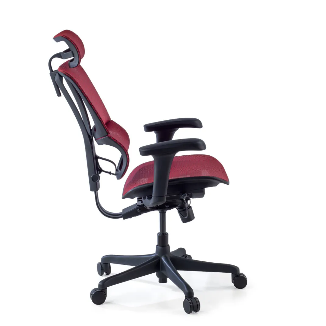 Silla de oficina Ergonomica IOO, soporte lumbar