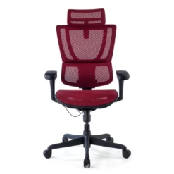 Silla de oficina Ergonomica IOO, soporte lumbar