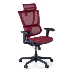 Silla de oficina Ergonomica IOO, soporte lumbar