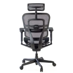 Silla Ergohuman Ultra Black Carbon Edition