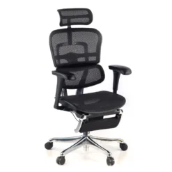 Silla ergonómica con reposapies Ergohuman gen2