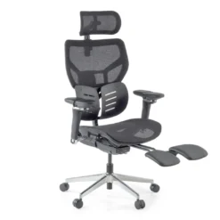 Silla ergonómica de oficina Erghos X3, doble cojín lumbar
