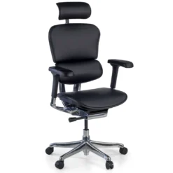 Silla Ergonómica Ergohuman Elite, piel natural