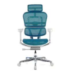 Silla ergonómica Ergohuman Elite, estructura blanca