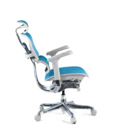 Silla ergonómica Ergohuman Elite, estructura blanca