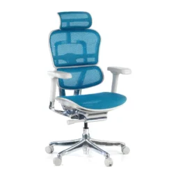 Silla ergonómica Ergohuman Elite, estructura blanca