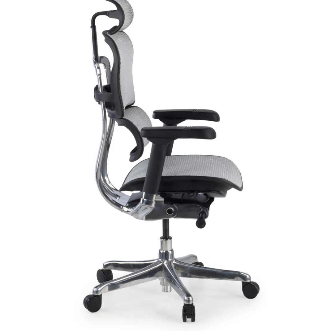 Silla ergonómica Ergohuman Elite, estructura negra