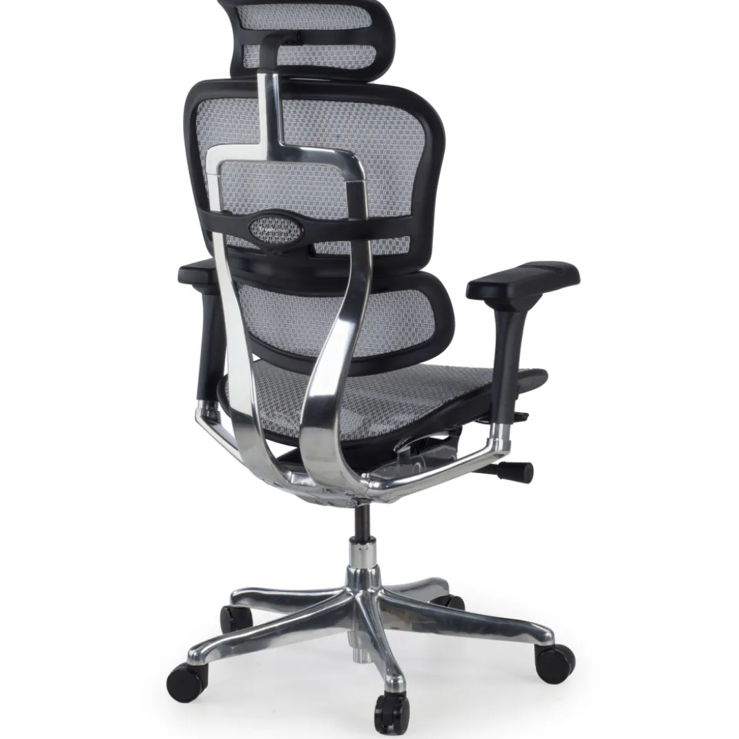 Silla ergonómica Ergohuman Elite, estructura negra