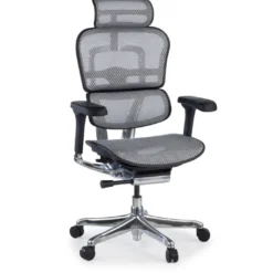 Silla ergonómica Ergohuman Elite, estructura negra