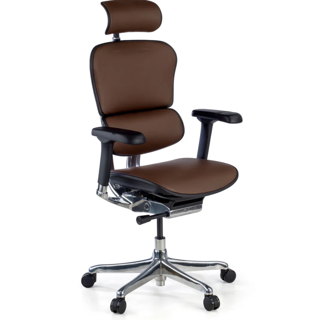 Silla Ergonómica Ergohuman Elite, piel natural