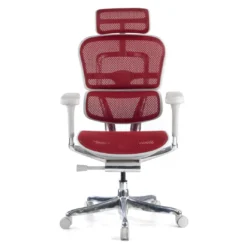 Silla ergonómica Ergohuman Elite, estructura blanca