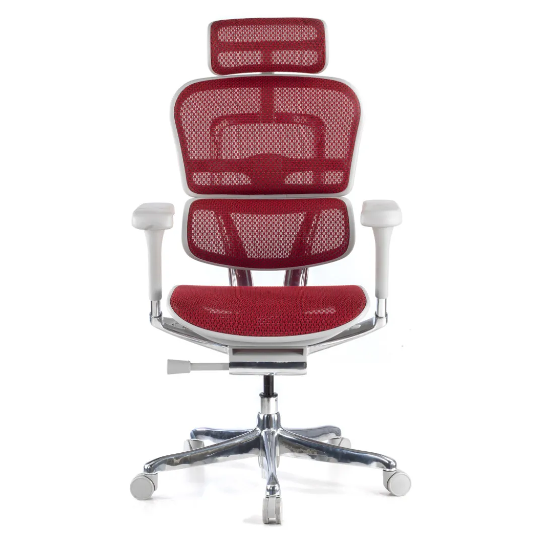 Silla ergonómica Ergohuman Elite, estructura blanca