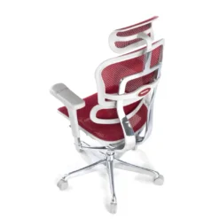Silla ergonómica Ergohuman Elite, estructura blanca