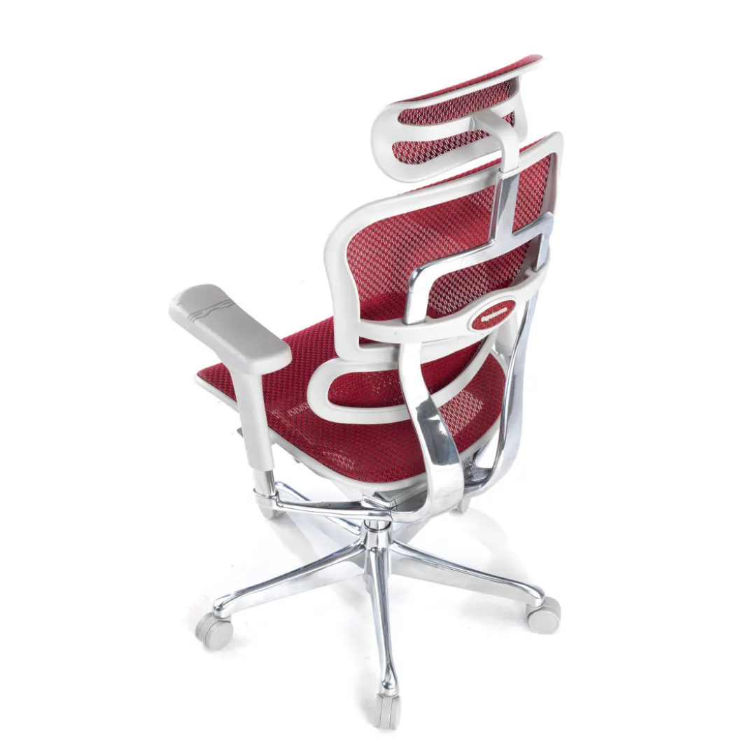 Silla ergonómica Ergohuman Elite, estructura blanca