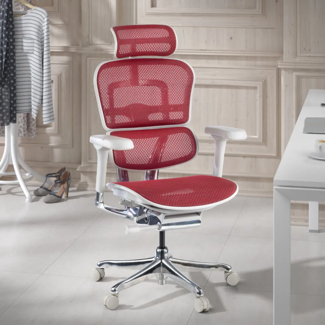 Silla ergonómica Ergohuman Elite, estructura blanca