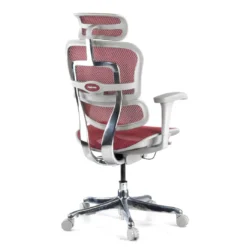 Silla ergonómica Ergohuman Elite, estructura blanca