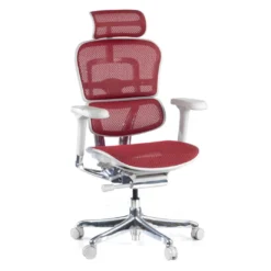 Silla ergonómica Ergohuman Elite, estructura blanca