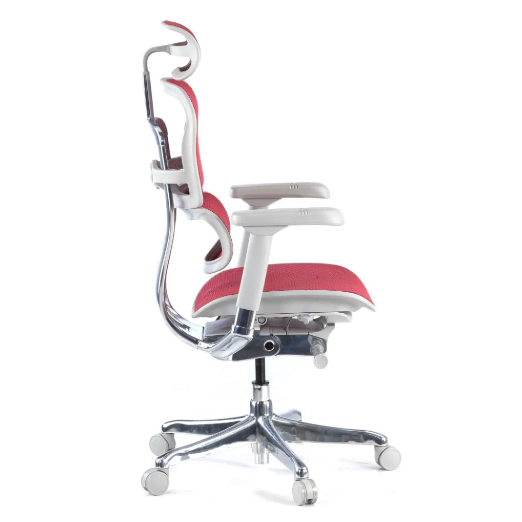 Silla ergonómica Ergohuman Elite, estructura blanca