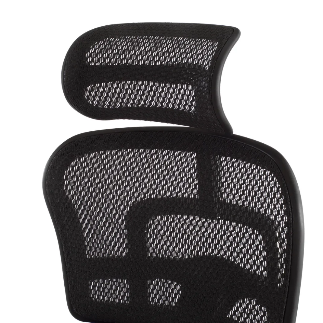 Silla ergonómica Ergohuman Elite, estructura negra