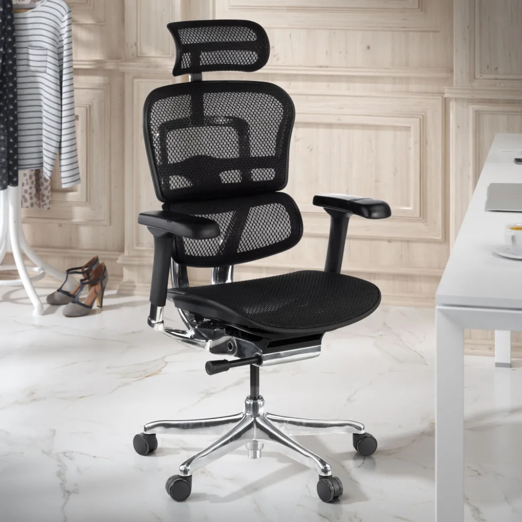 Silla ergonómica Ergohuman Elite, estructura negra