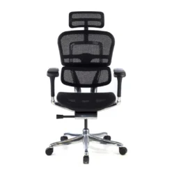 Silla ergonómica Ergohuman Elite, estructura negra