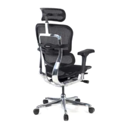 Silla ergonómica Ergohuman Elite, estructura negra