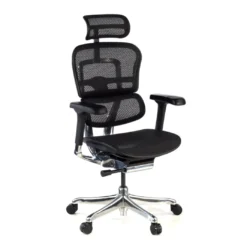Silla ergonómica Ergohuman Elite, estructura negra