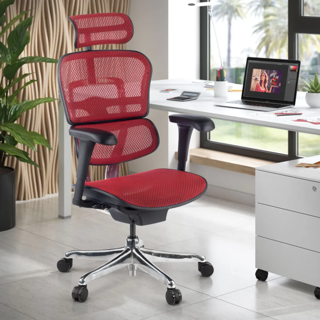 Silla ergonómica Ergohuman Gen2, estructura negra