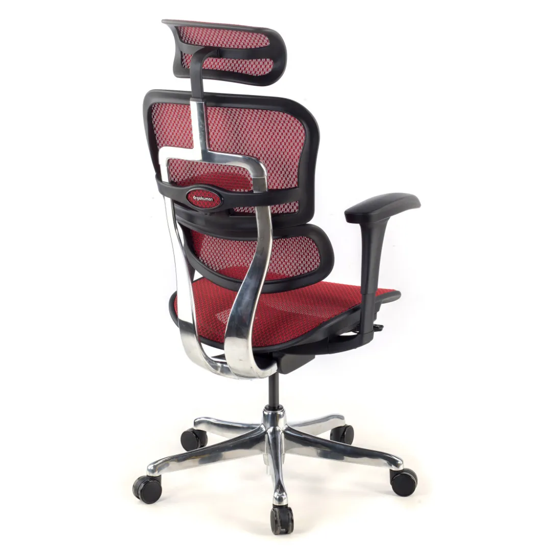Silla ergonómica Ergohuman Gen2, estructura negra