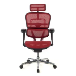 Silla ergonómica Ergohuman Gen2, estructura negra