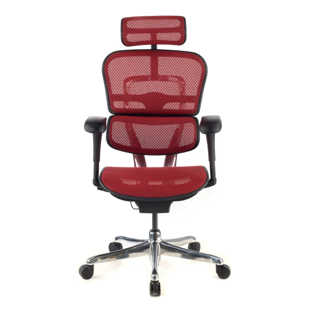 Silla ergonómica Ergohuman Gen2, estructura negra