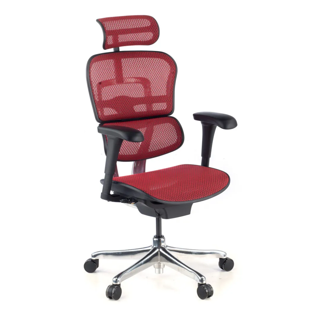 Silla ergonómica Ergohuman Gen2, estructura negra