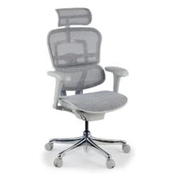 Silla ergonómica Ergohuman gen2, estructura gris