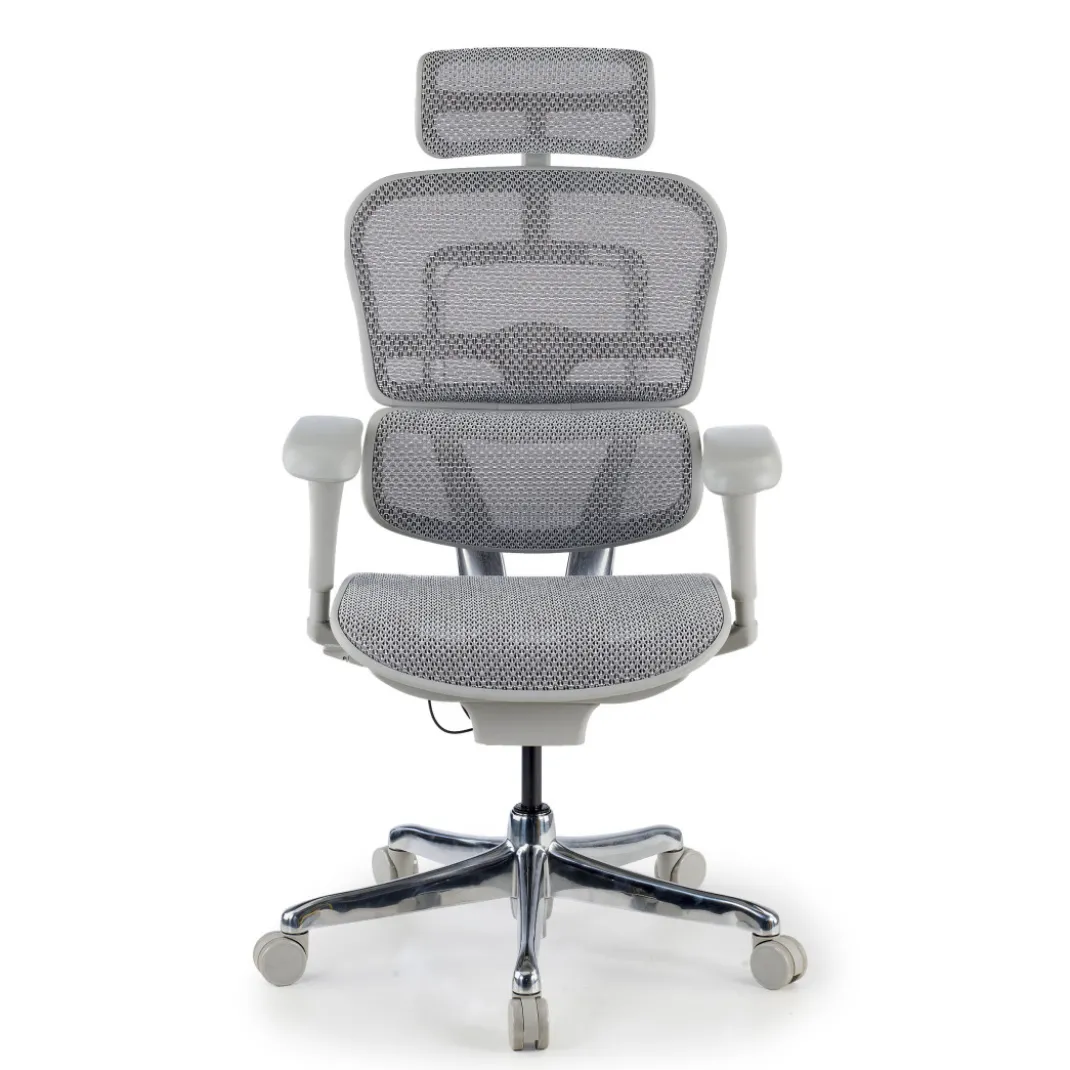 Silla ergonómica Ergohuman gen2, estructura gris